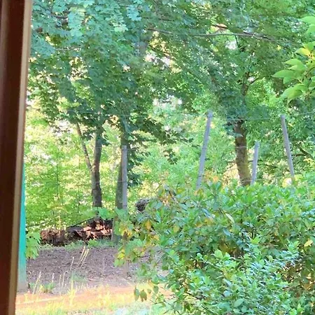 Charming With Private Pool Jacuzzi And Garden In בקתה CastellʼArquato