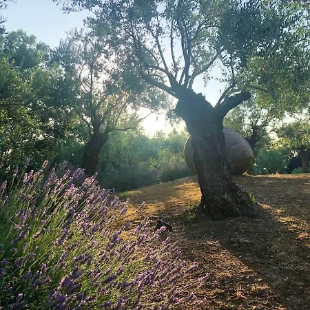 Charming With Private Pool Jacuzzi And Garden In בקתה *