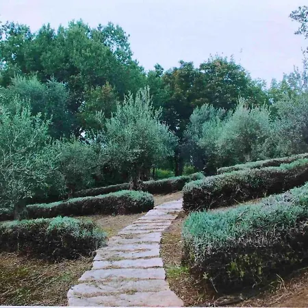 בקתה Charming With Private Pool Jacuzzi And Garden In