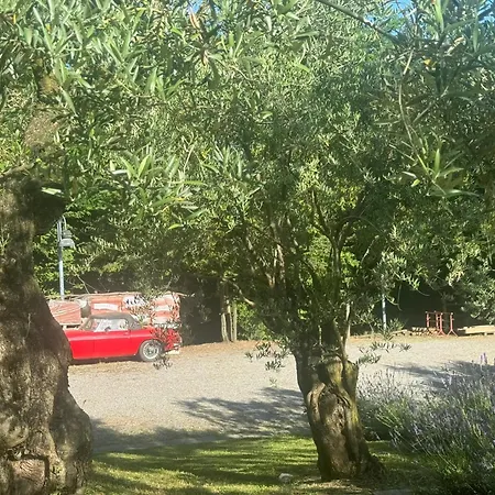 Charming With Private Pool Jacuzzi And Garden In בקתה