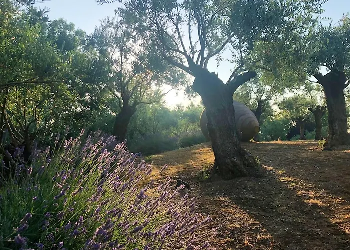 Cozy In 90 M² With Private Pool Dağ evi *