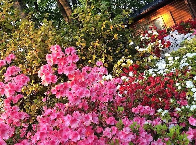 Cozy In 90 M² With Private Pool Dağ evi