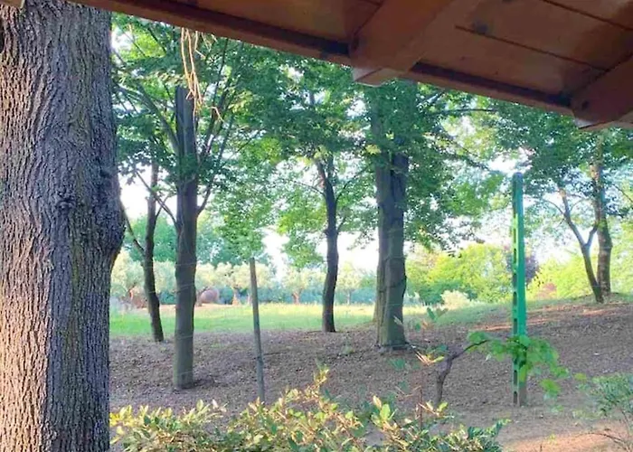 Dağ evi Cozy In 90 M² With Private Pool CastellʼArquato