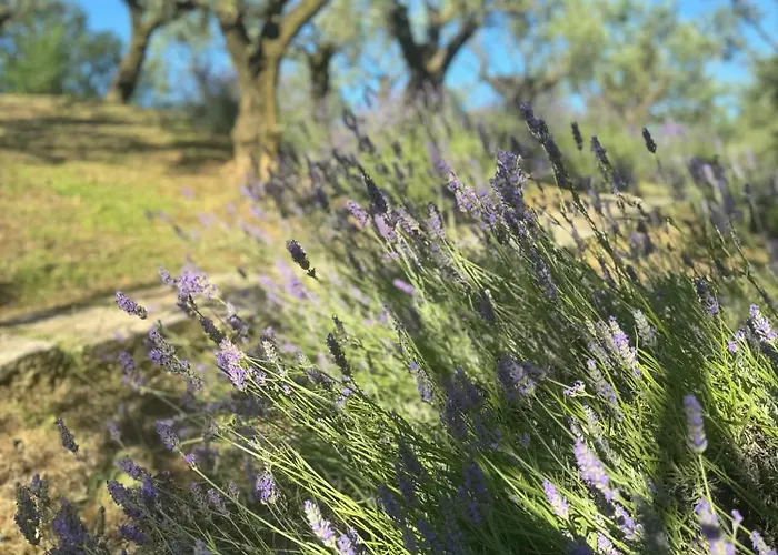 Cozy In 90 M² With Private Pool * CastellʼArquato