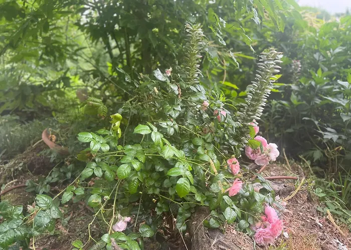 Cozy In 90 M² With Private Pool * CastellʼArquato