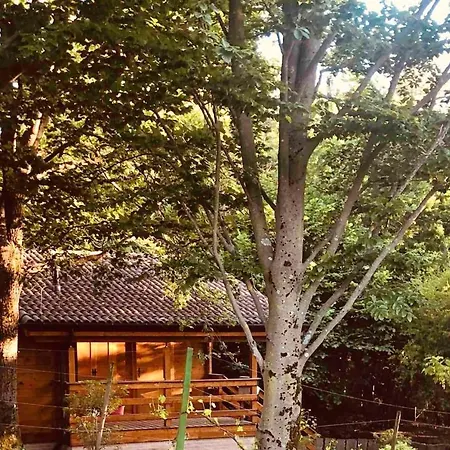 Charming With Private Pool Jacuzzi And Garden In Castell'Arquato