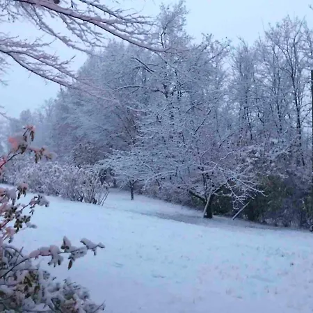 Cozy In 90 M² With Private Pool Chalet *