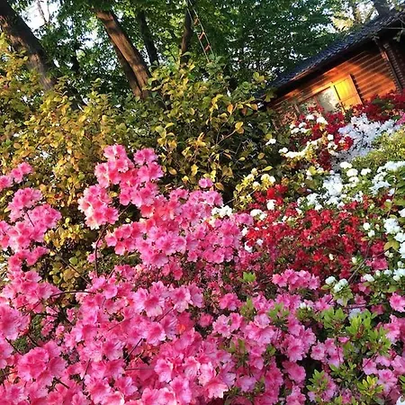 Charming With Private Pool Jacuzzi And Garden In Chalet