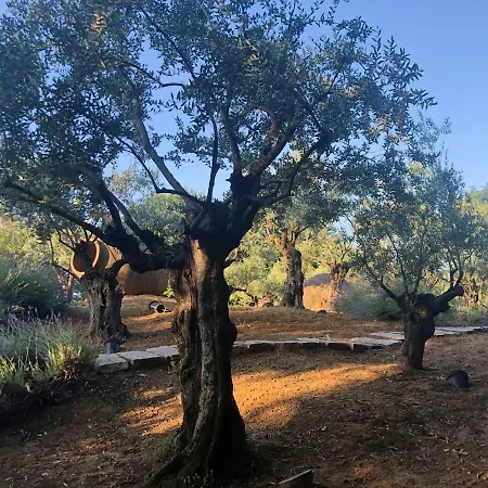 Cozy In 90 M² With Private Pool