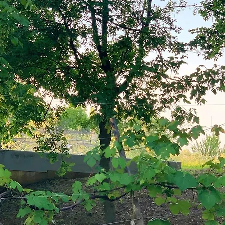 Cozy In 90 M² With Private Pool Chalet *