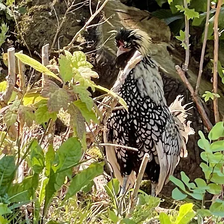 Cozy In 90 M² With Private Pool *