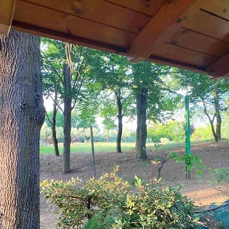 Chalet Charming With Private Pool Jacuzzi And Garden In Castell'Arquato