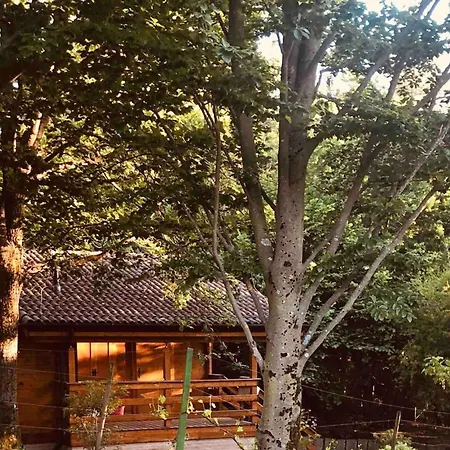 Cozy In 90 M² With Private Pool Chalet *