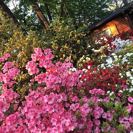 Alpstuga Cozy In 90 M² With Private Pool