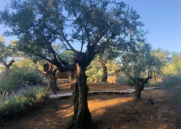 Cozy In 90 M² With Private Pool