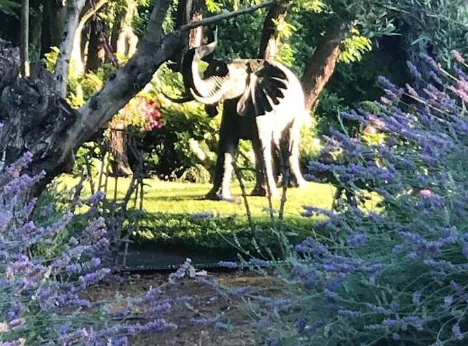 Cozy In 90 M² With Private Pool Domek alpejski CastellʼArquato