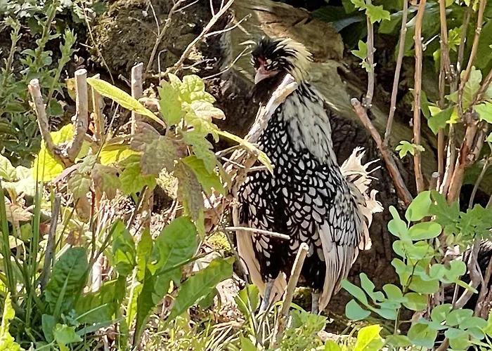 Cozy In 90 M² With Private Pool *