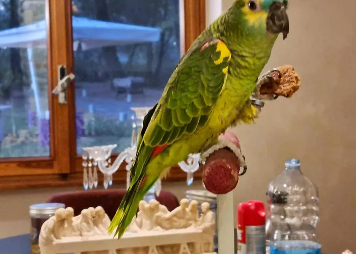 Cozy In 90 M² With Private Pool شاليه *