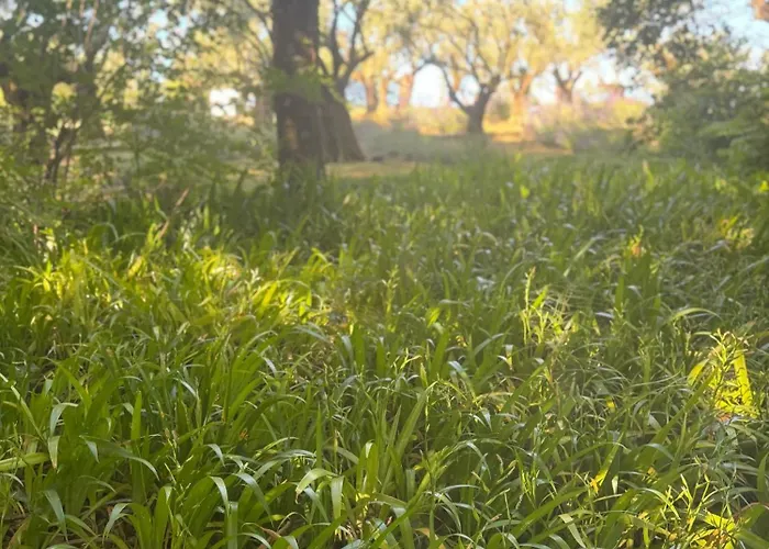 شاليه Cozy In 90 M² With Private Pool